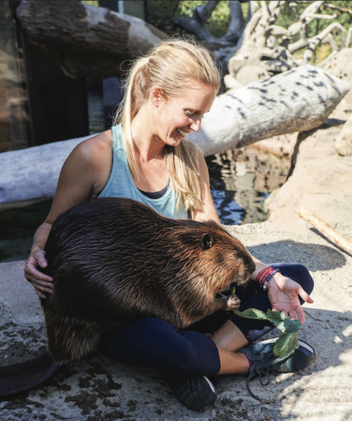 Behind the Scenes with Timber — Turtle Bay